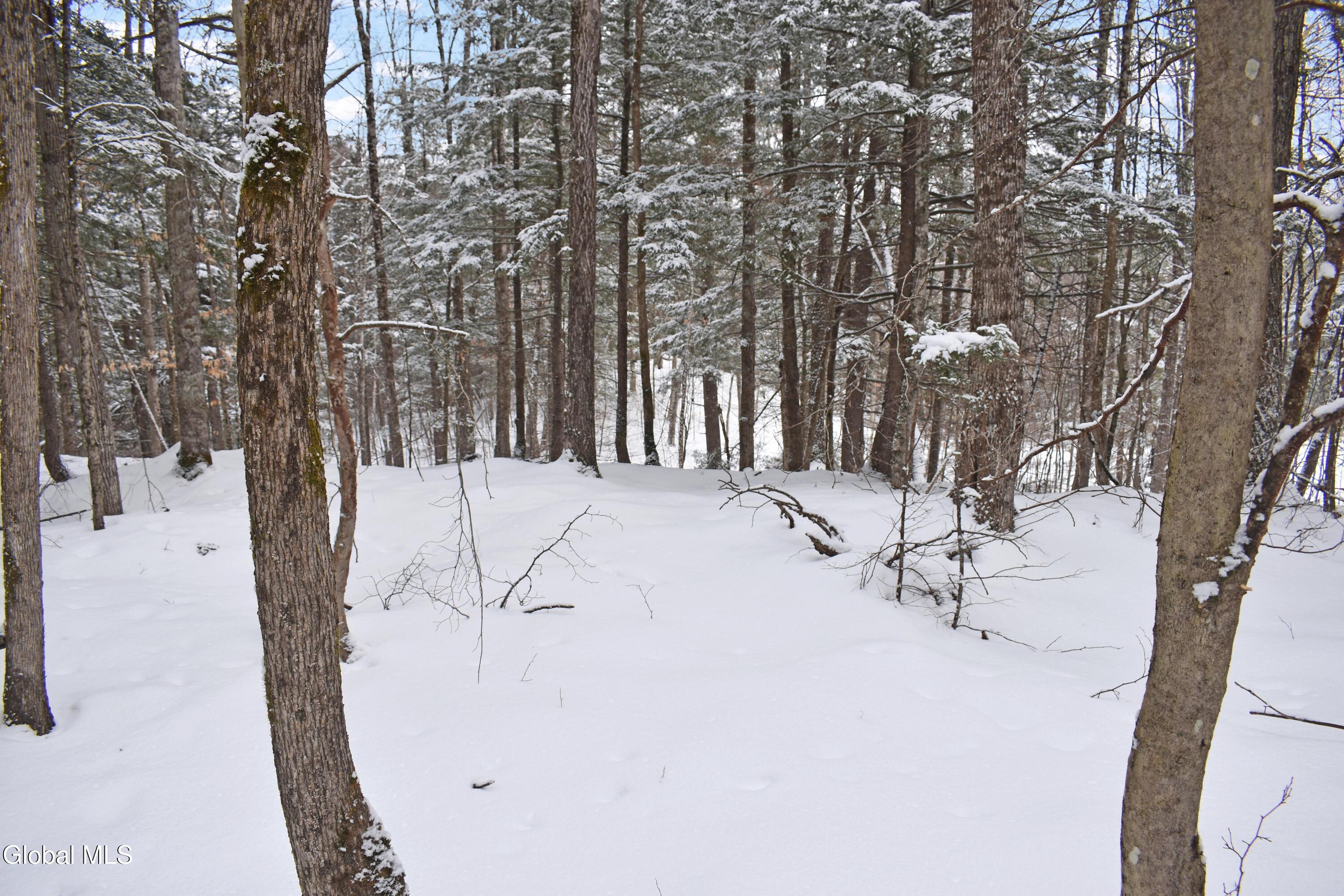 37 Carriage Knolls Road Chestertown NY 12817