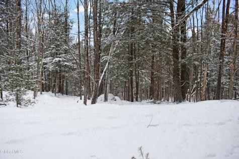 37 Carriage Knolls Road Chestertown NY 12817
