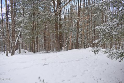 37 Carriage Knolls Road Chestertown NY 12817