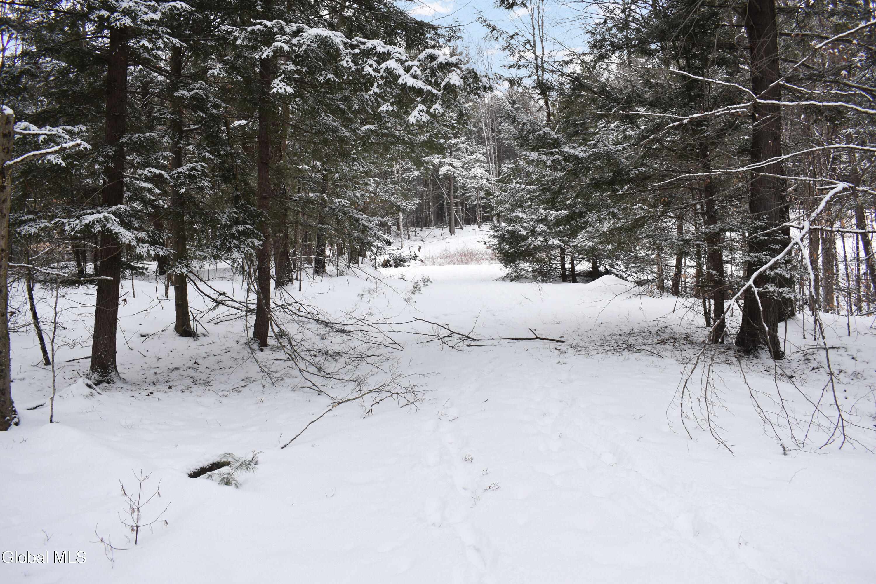 37 Carriage Knolls Road Chestertown NY 12817