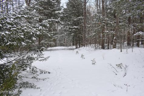 37 Carriage Knolls Road Chestertown NY 12817