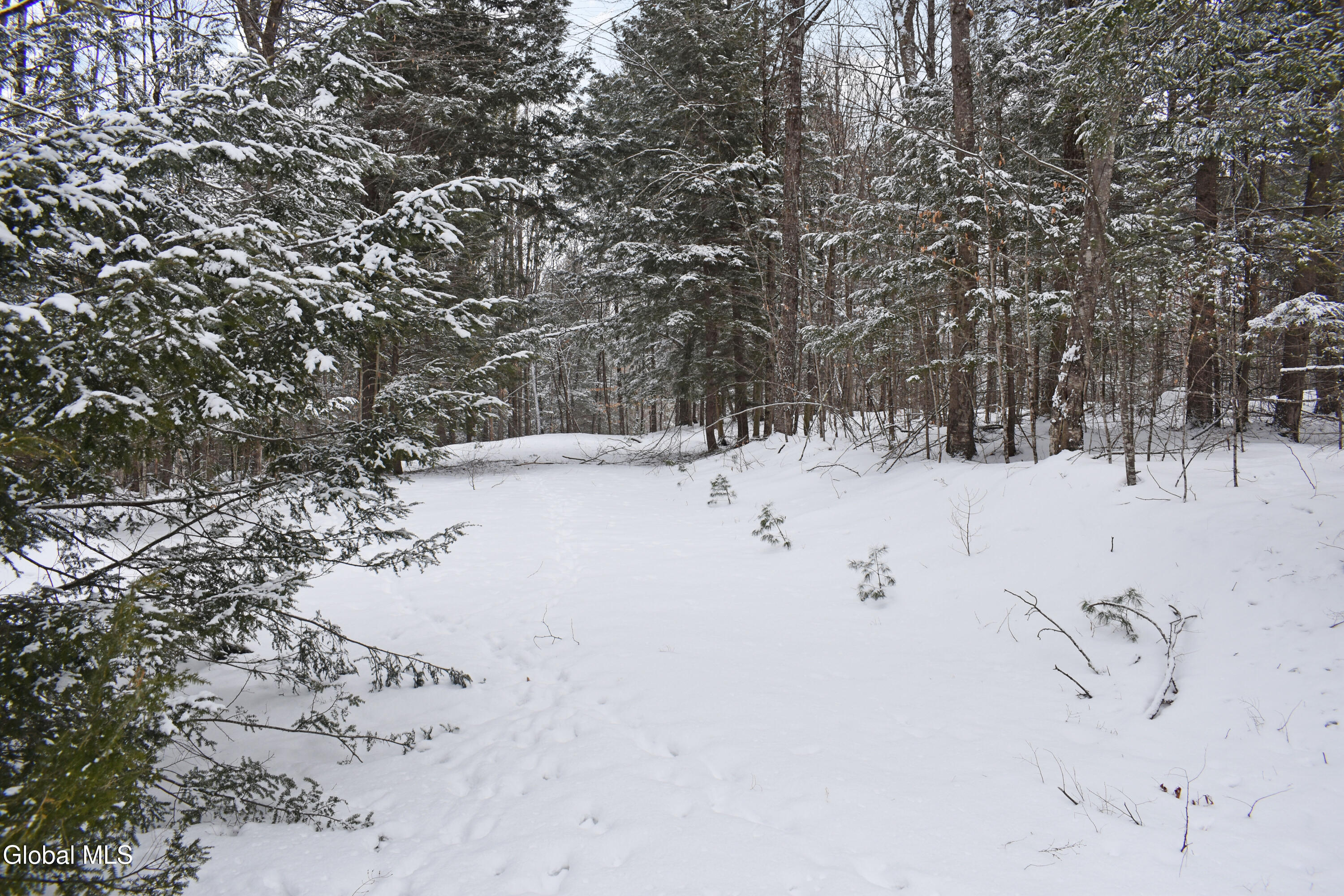 37 Carriage Knolls Road Chestertown NY 12817