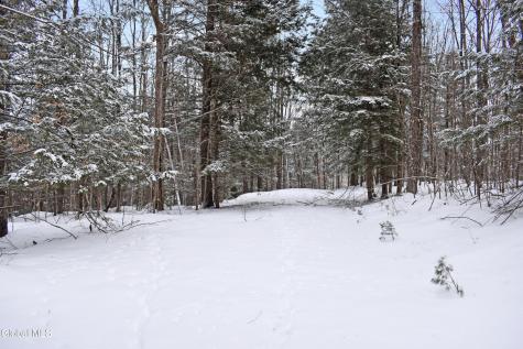 37 Carriage Knolls Road Chestertown NY 12817