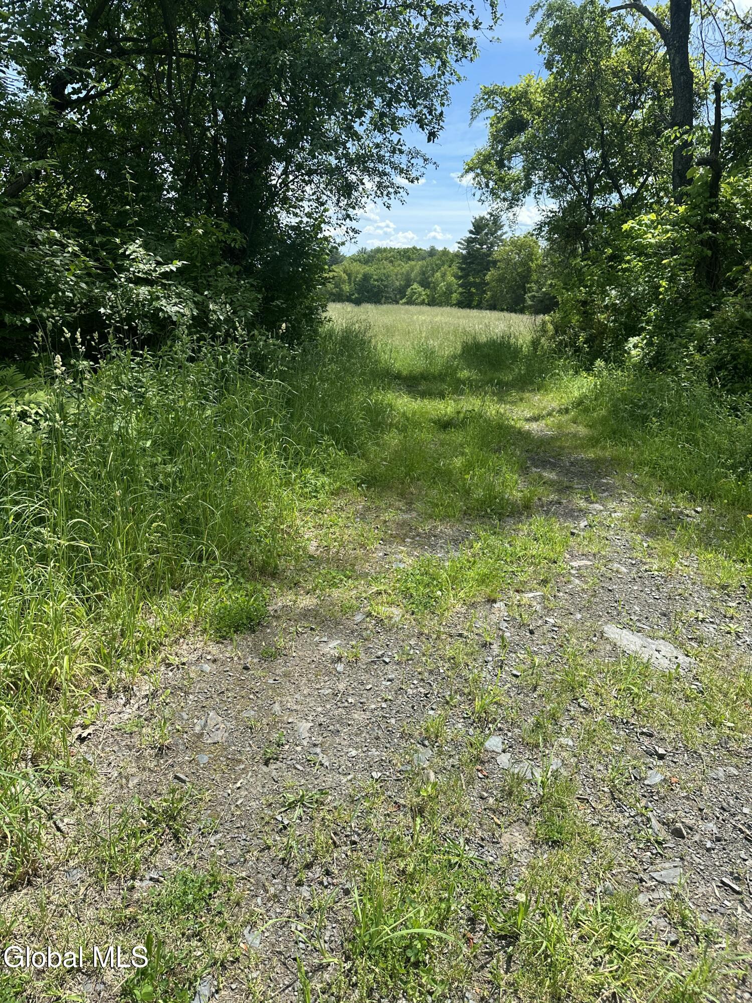 171 Orchard Road Columbia NY 12075