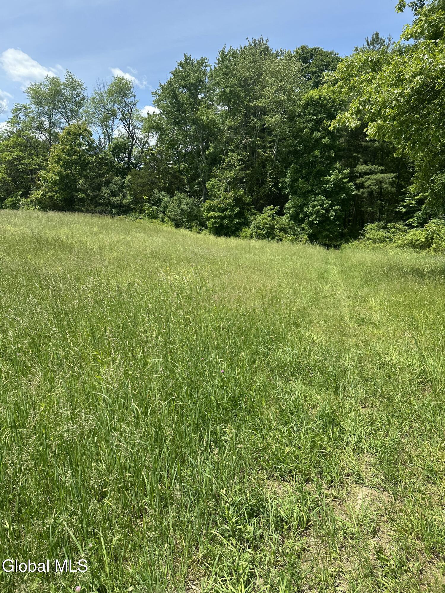 171 Orchard Road Columbia NY 12075