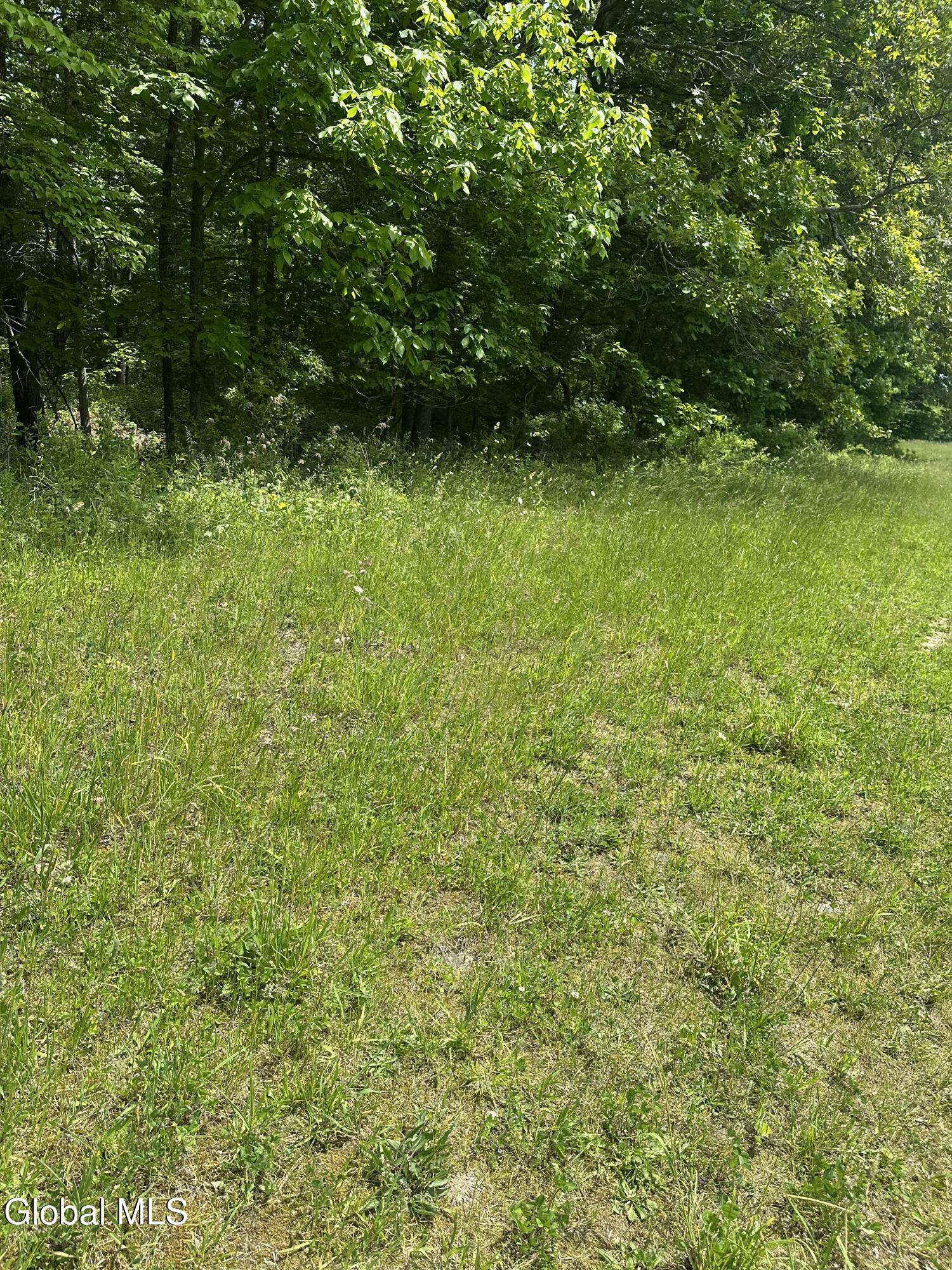 171 Orchard Road Columbia NY 12075