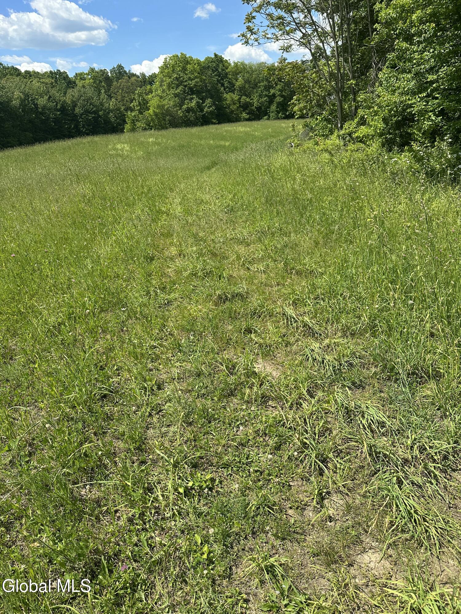 171 Orchard Road Columbia NY 12075