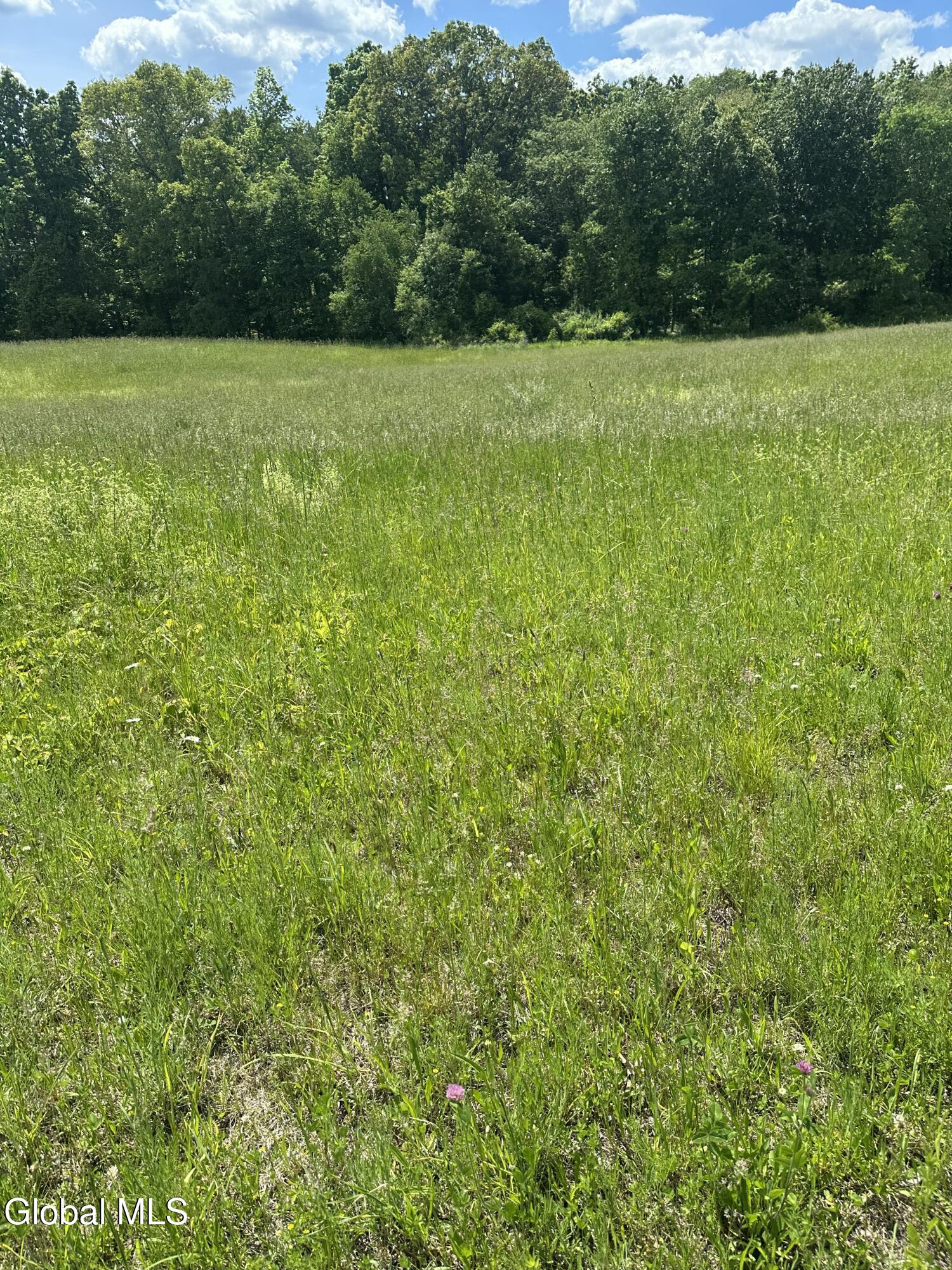 171 Orchard Road Columbia NY 12075