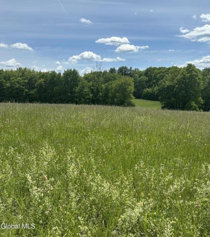 171 Orchard Road Columbia NY 12075