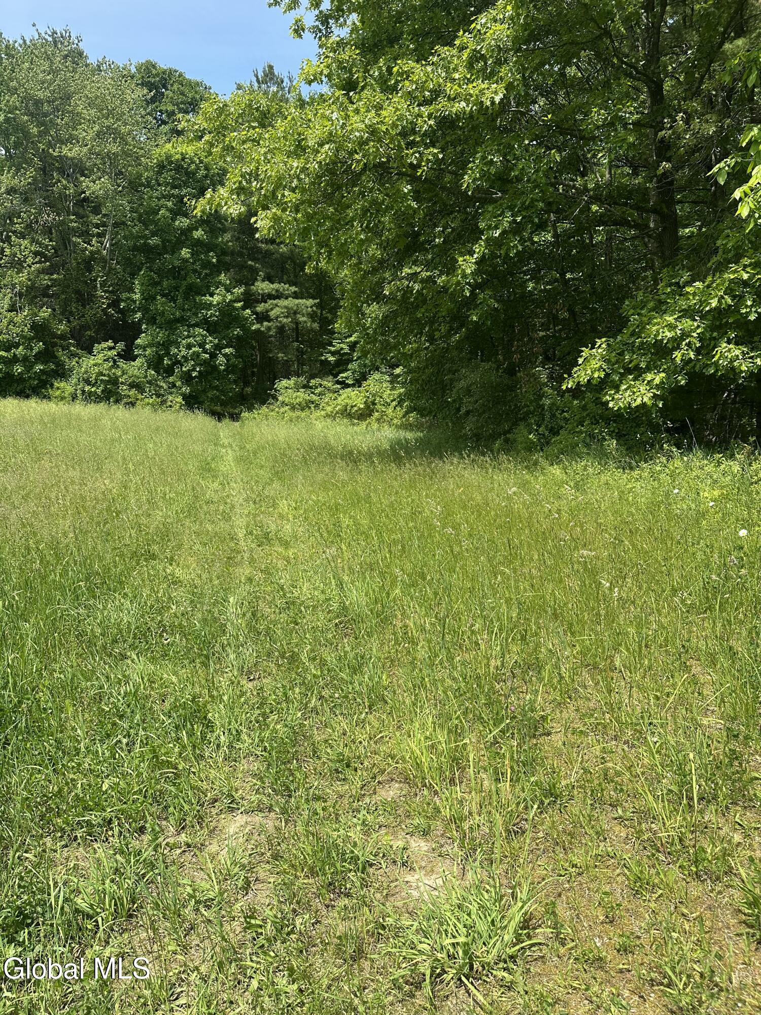 171 Orchard Road Columbia NY 12075