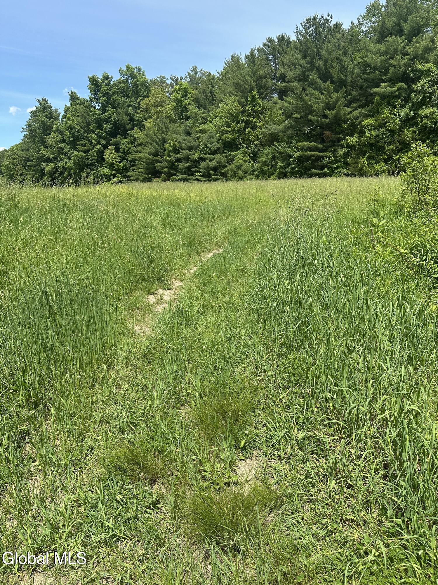 171 Orchard Road Columbia NY 12075