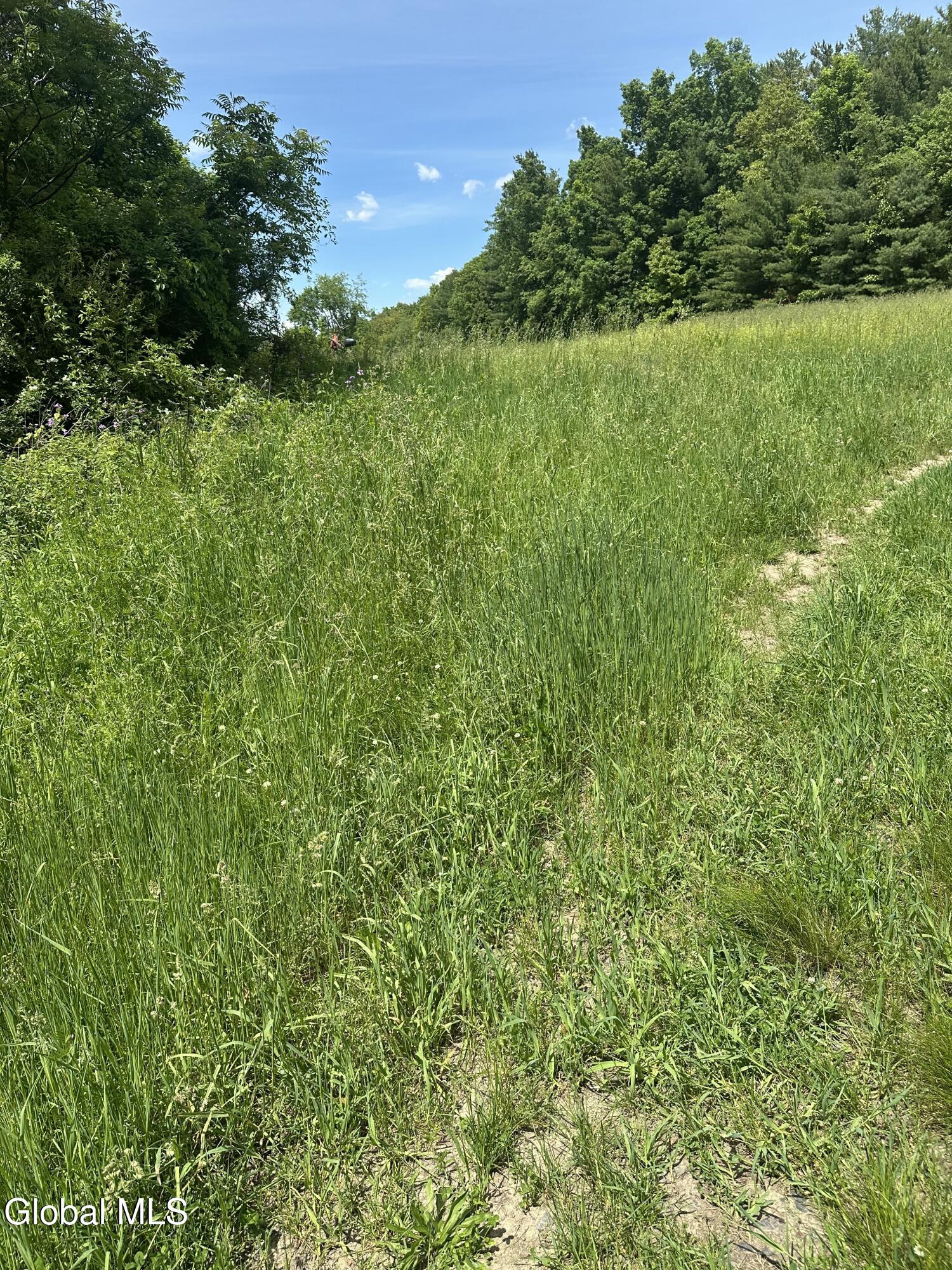 171 Orchard Road Columbia NY 12075