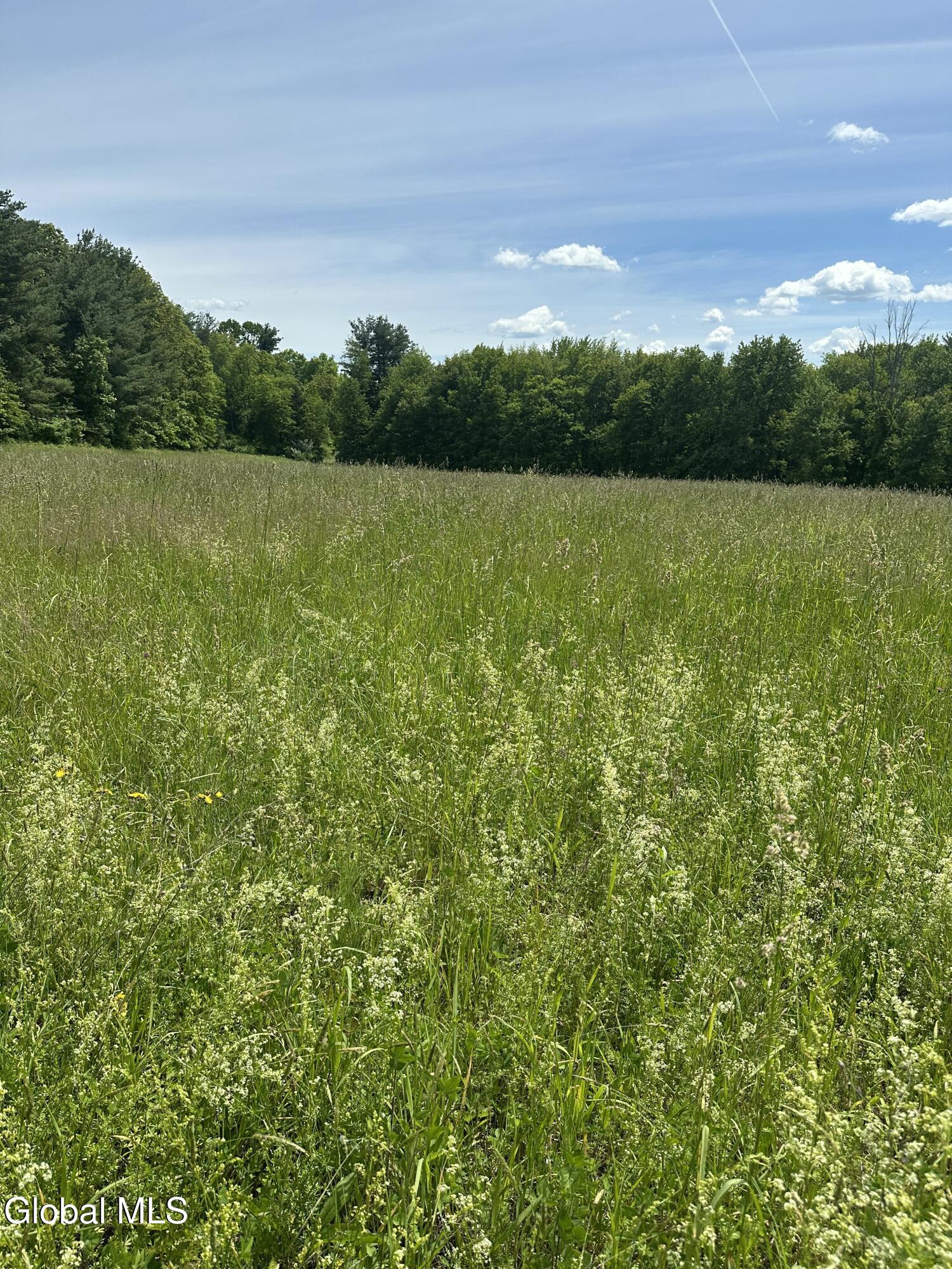 171 Orchard Road Columbia NY 12075