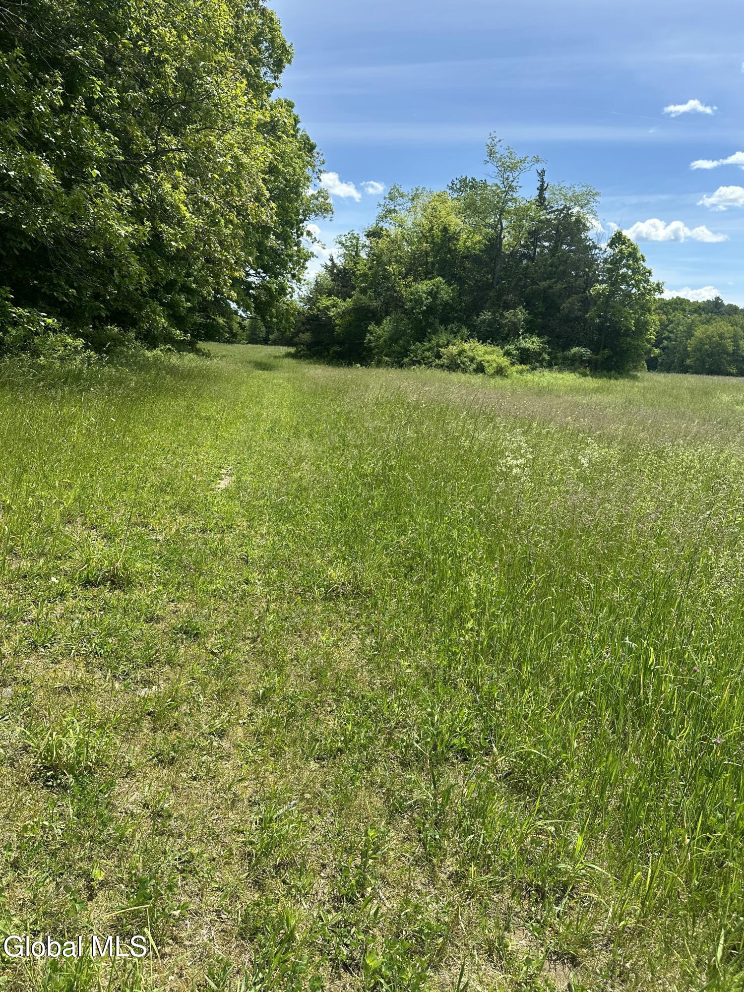 171 Orchard Road Columbia NY 12075