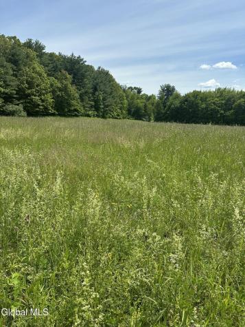 171 Orchard Road Columbia NY 12075