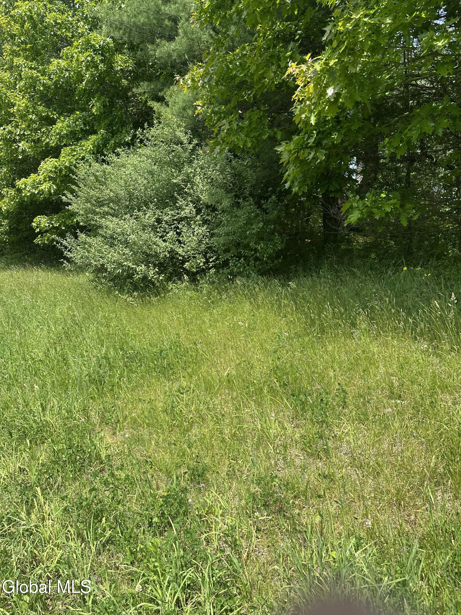 171 Orchard Road Columbia NY 12075