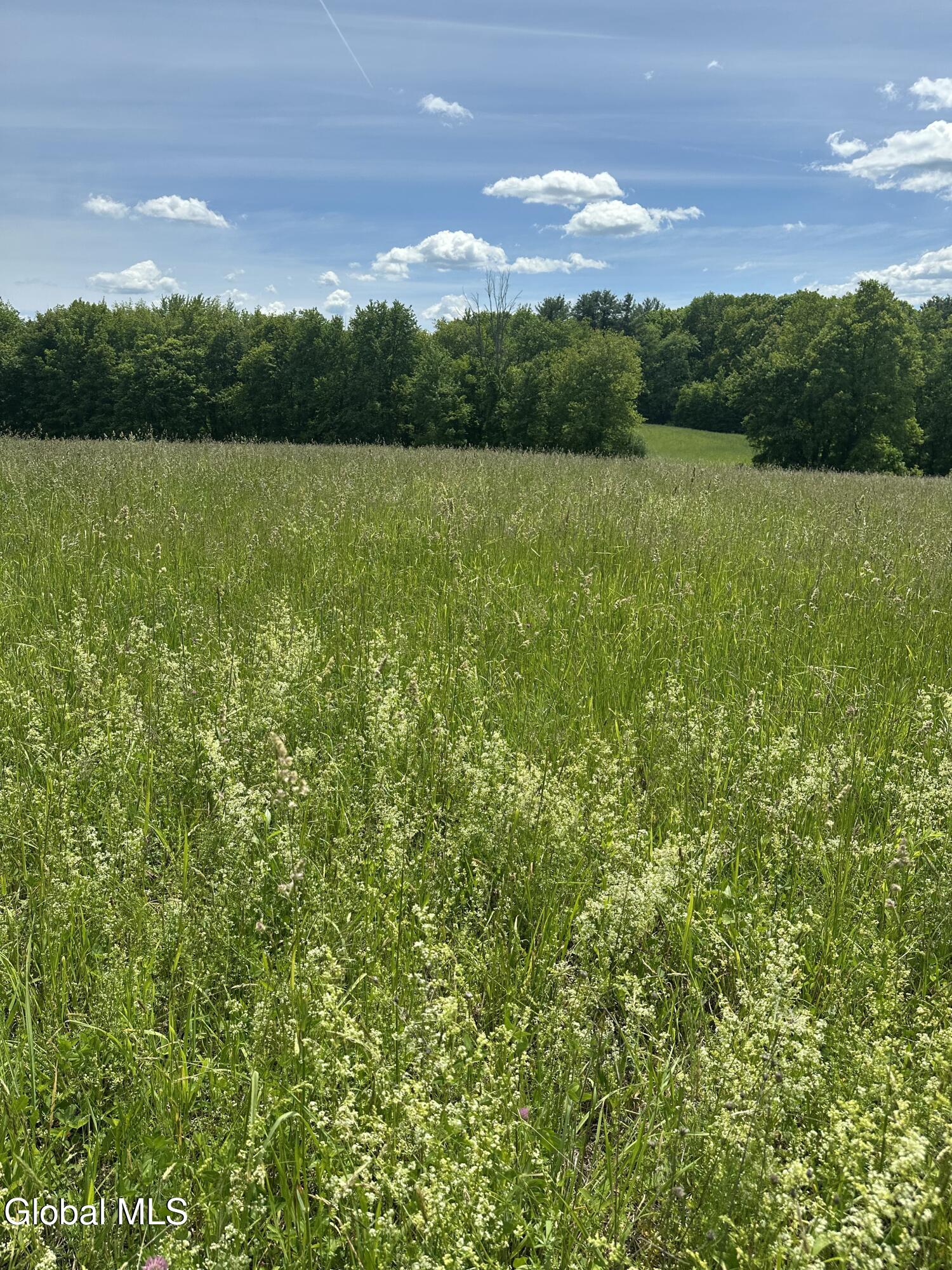 171 Orchard Road Columbia NY 12075