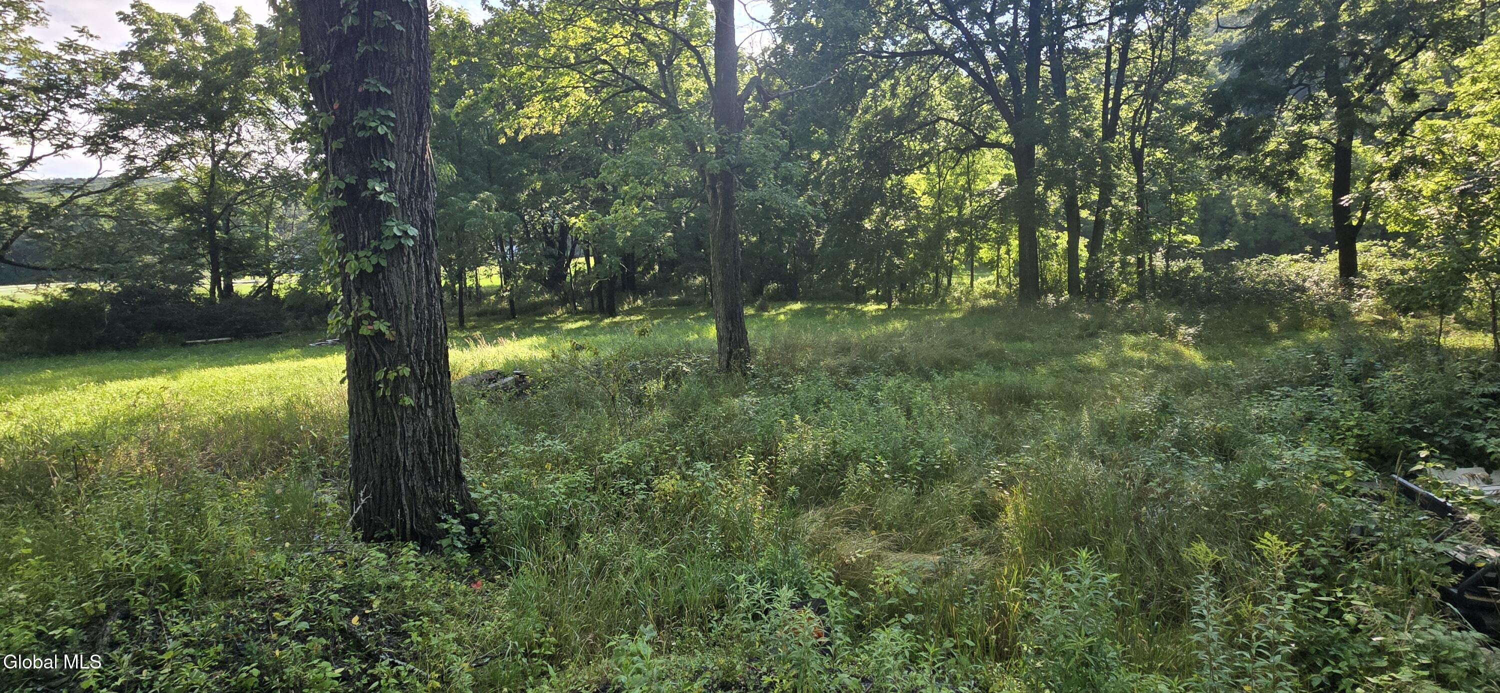 2325 Delaware Turnpike New Scotland NY 12186
