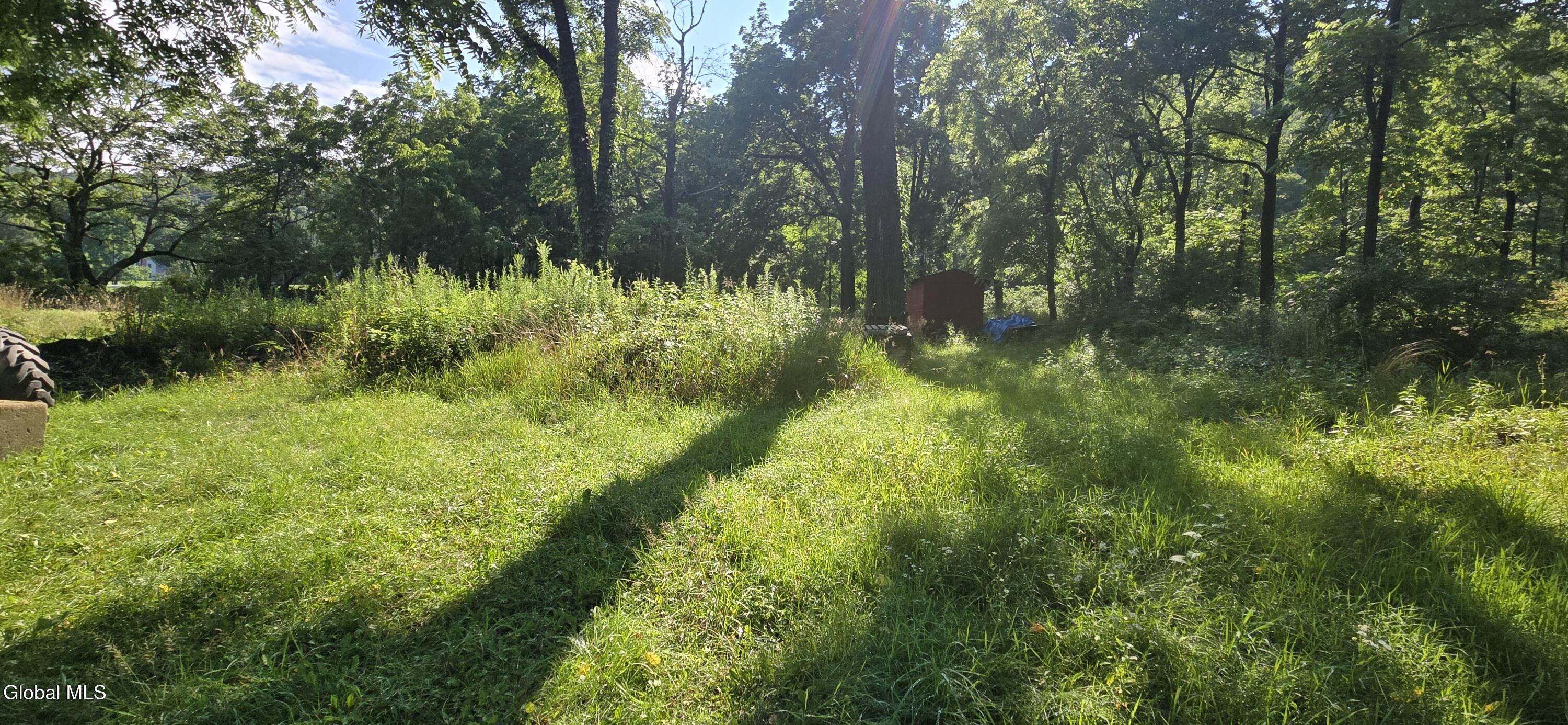 2325 Delaware Turnpike New Scotland NY 12186
