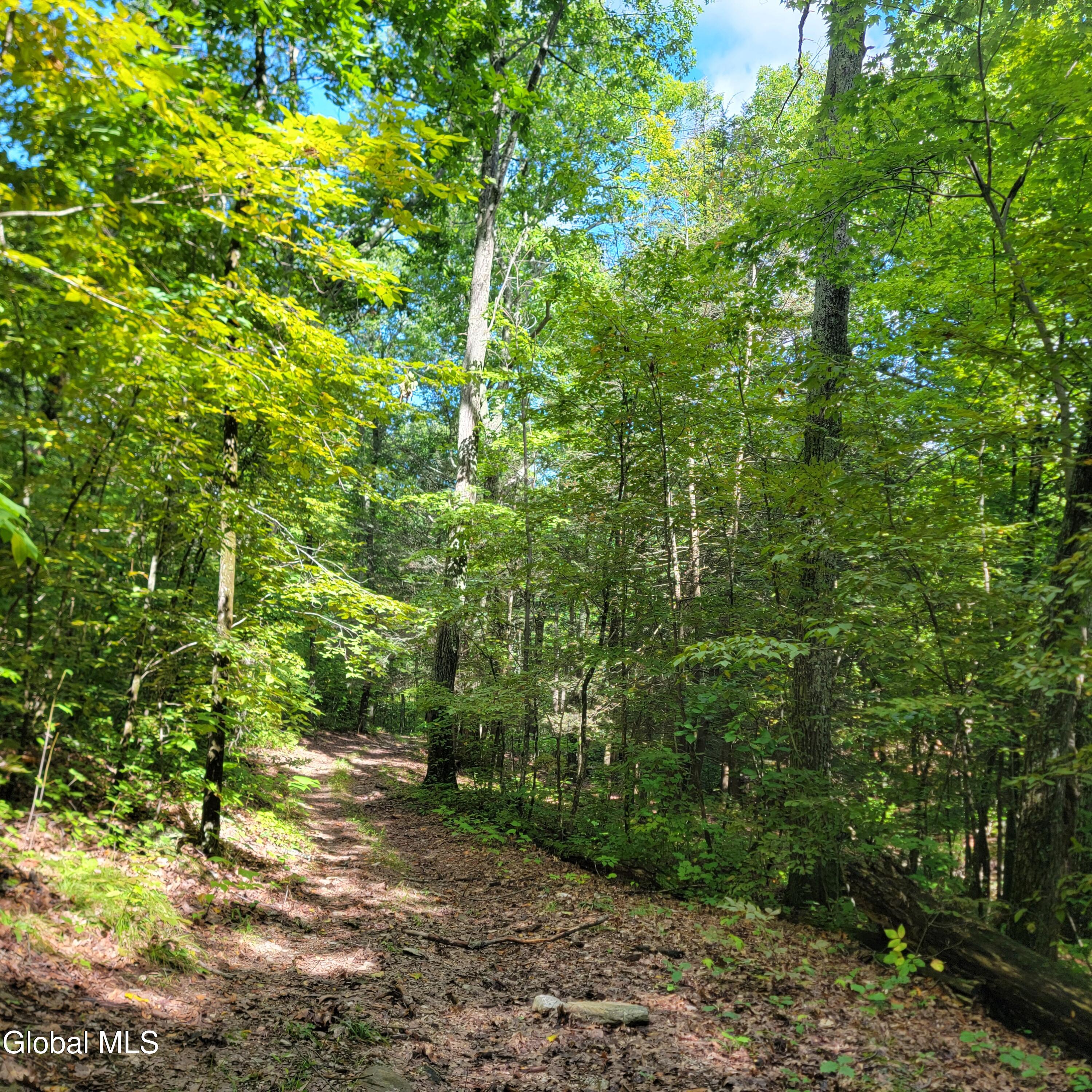 1711 County Route 27 Craryville NY 12521