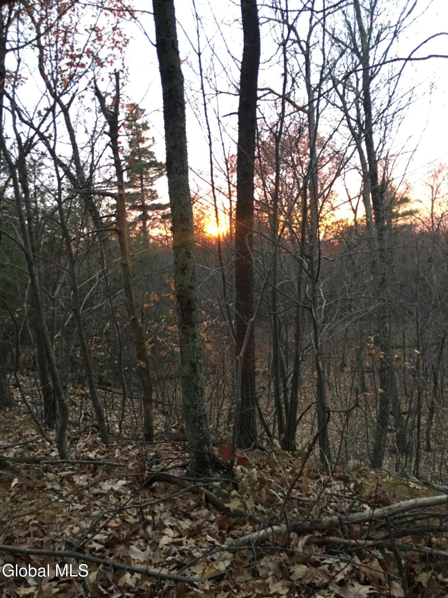 1711 County Route 27 Craryville NY 12521