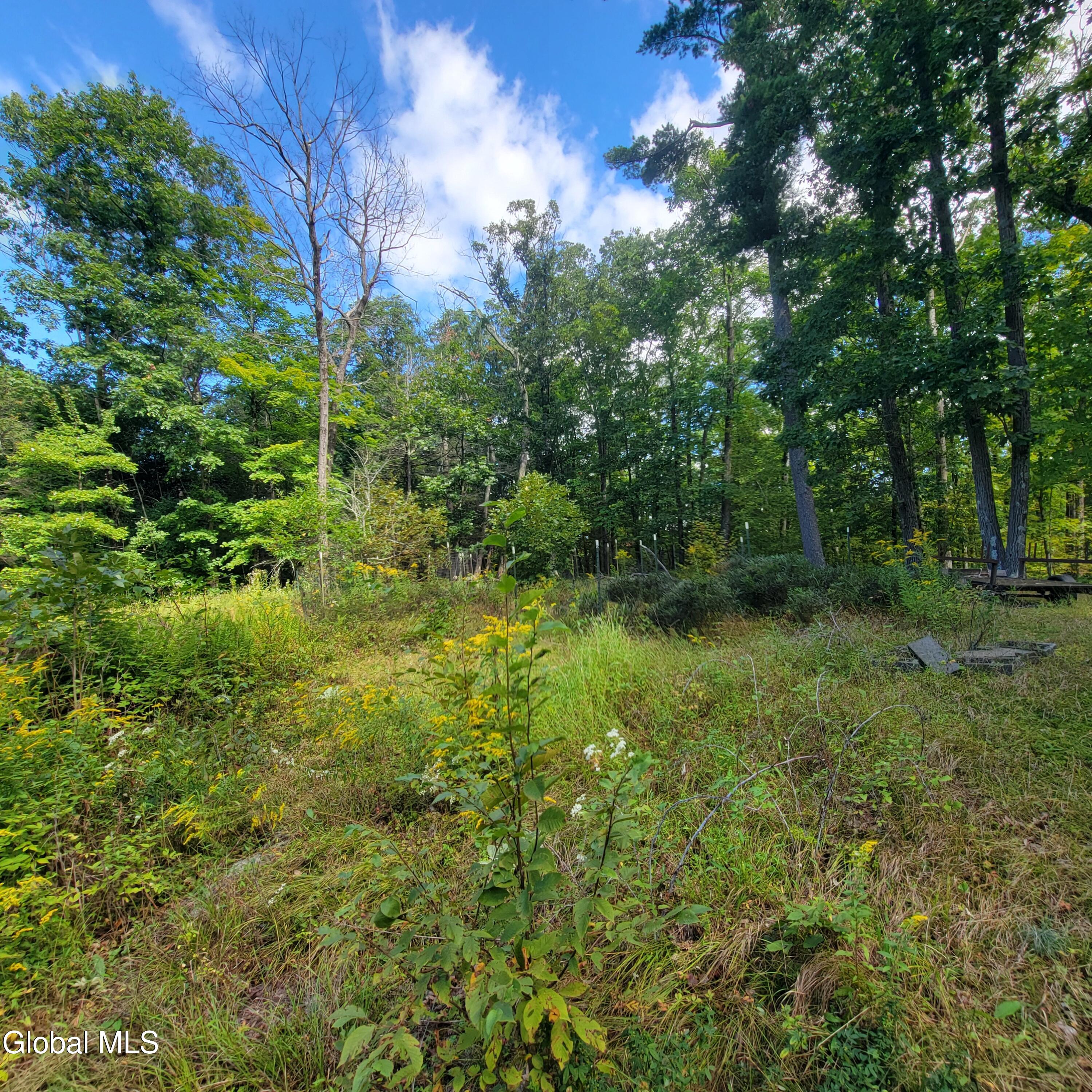 1711 County Route 27 Craryville NY 12521