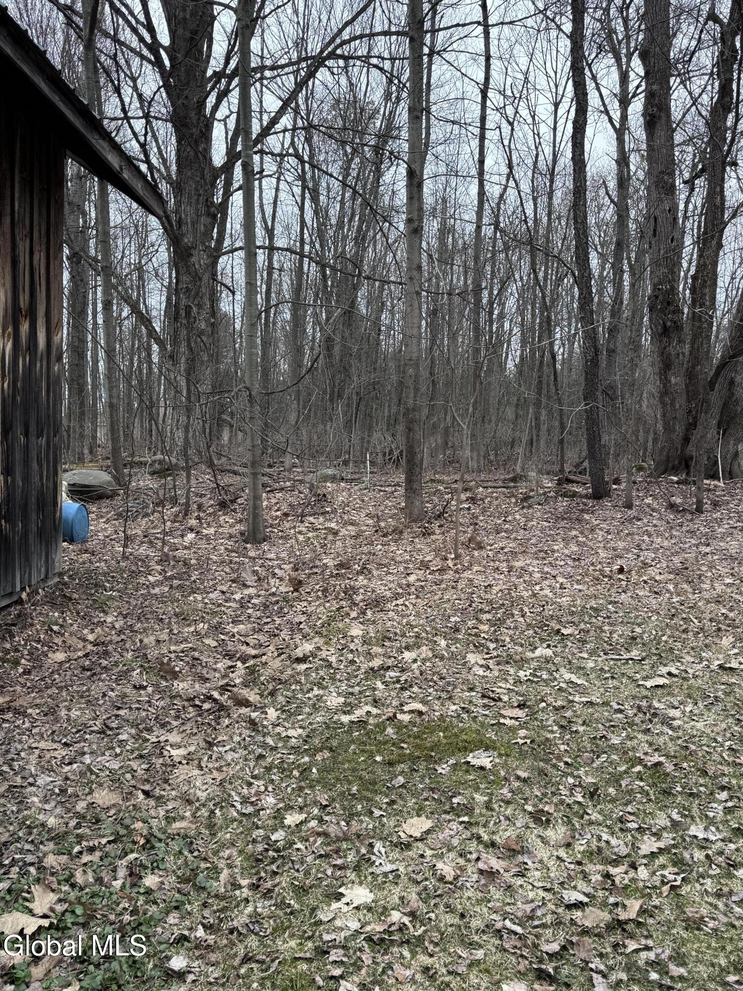 597 Lakeview Road Broadalbin NY 12025