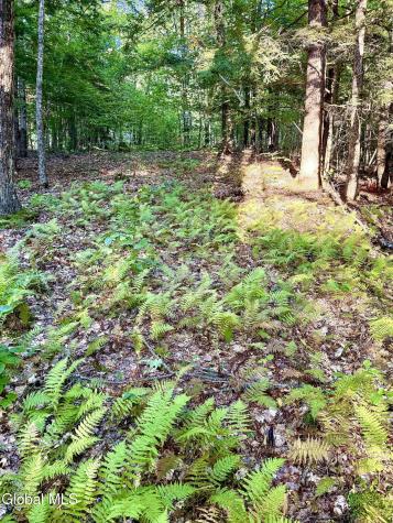 344 Dickinson Hill Road Bolton NY 12824
