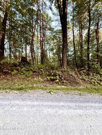 344 Dickinson Hill Road Bolton NY 12824