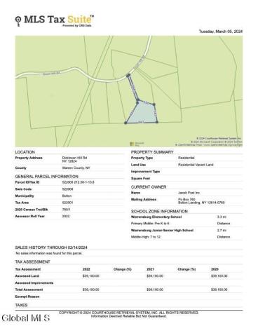 344 Dickinson Hill Road Bolton NY 12824