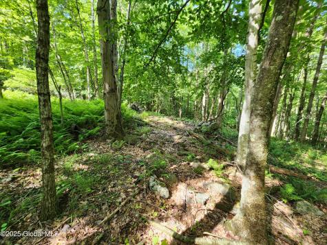 140 Roaser Road Sand Lake NY 12153