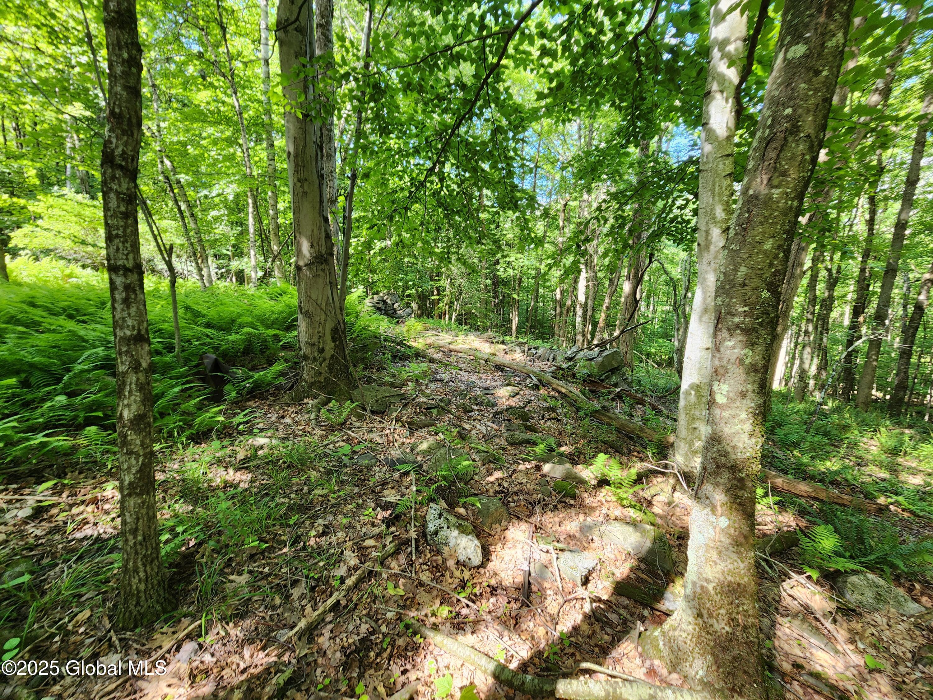 140 Roaser Road Sand Lake NY 12153