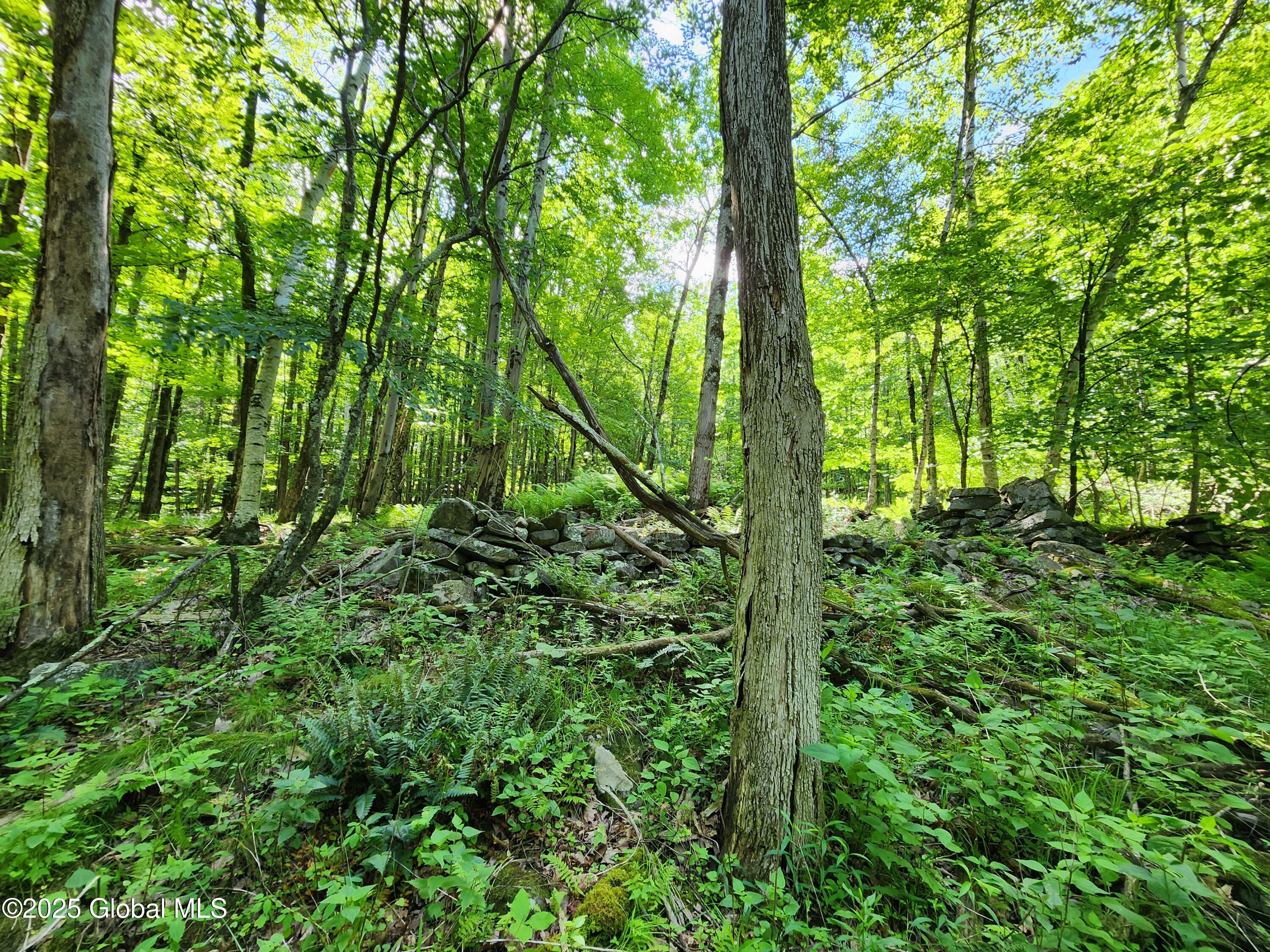 140 Roaser Road Sand Lake NY 12153
