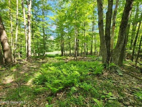 140 Roaser Road Sand Lake NY 12153