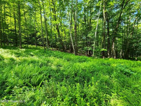 140 Roaser Road Sand Lake NY 12153