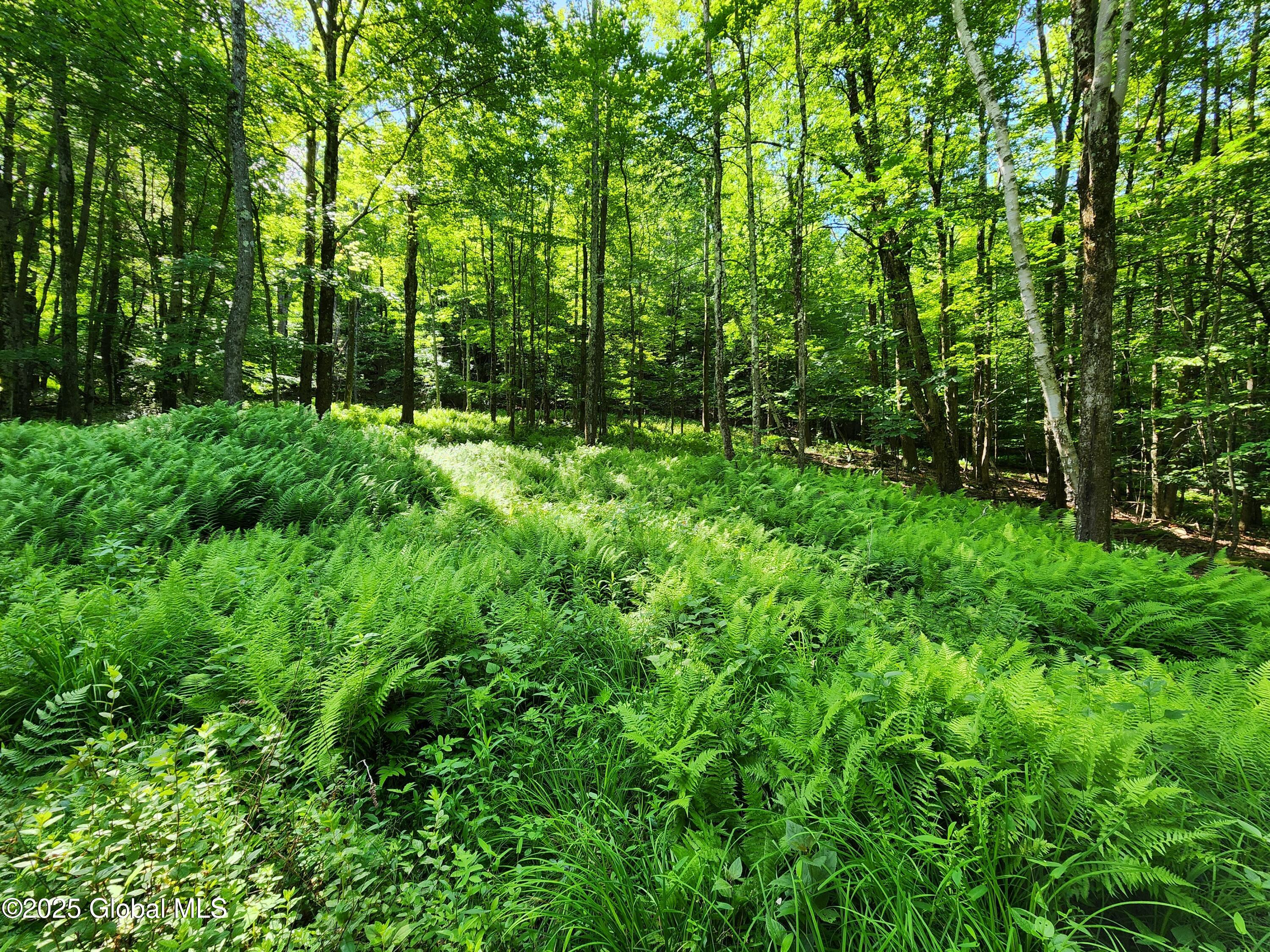 140 Roaser Road Sand Lake NY 12153