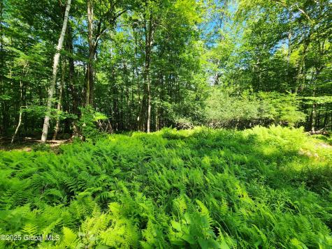 140 Roaser Road Sand Lake NY 12153