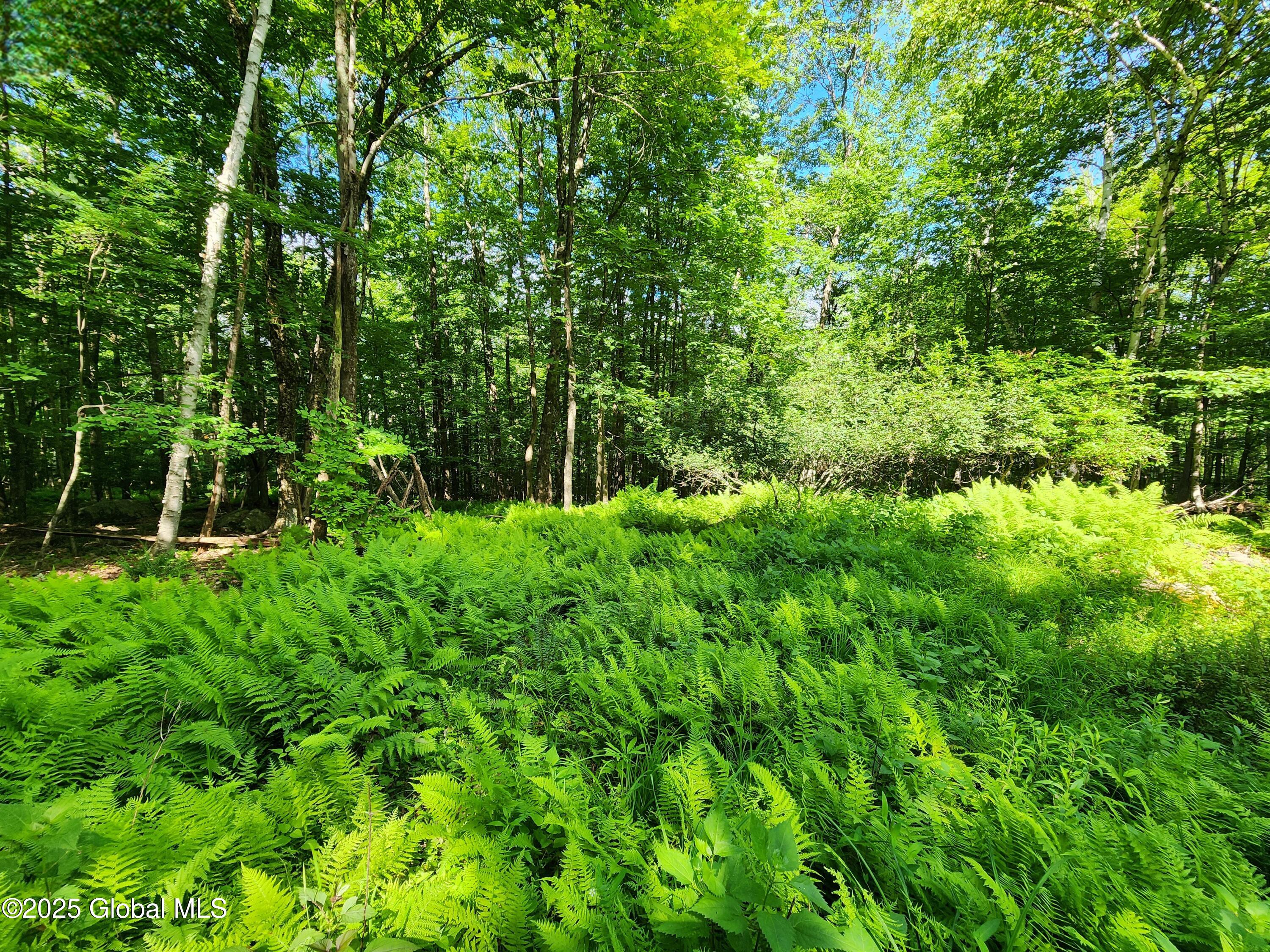 140 Roaser Road Sand Lake NY 12153