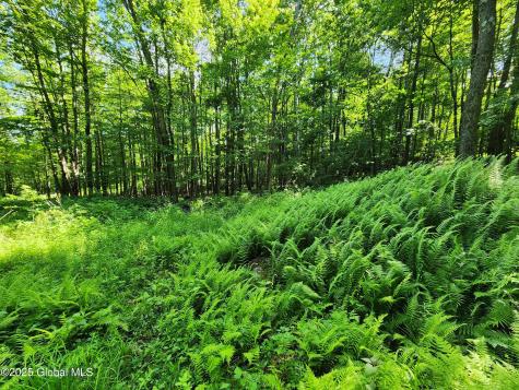 140 Roaser Road Sand Lake NY 12153