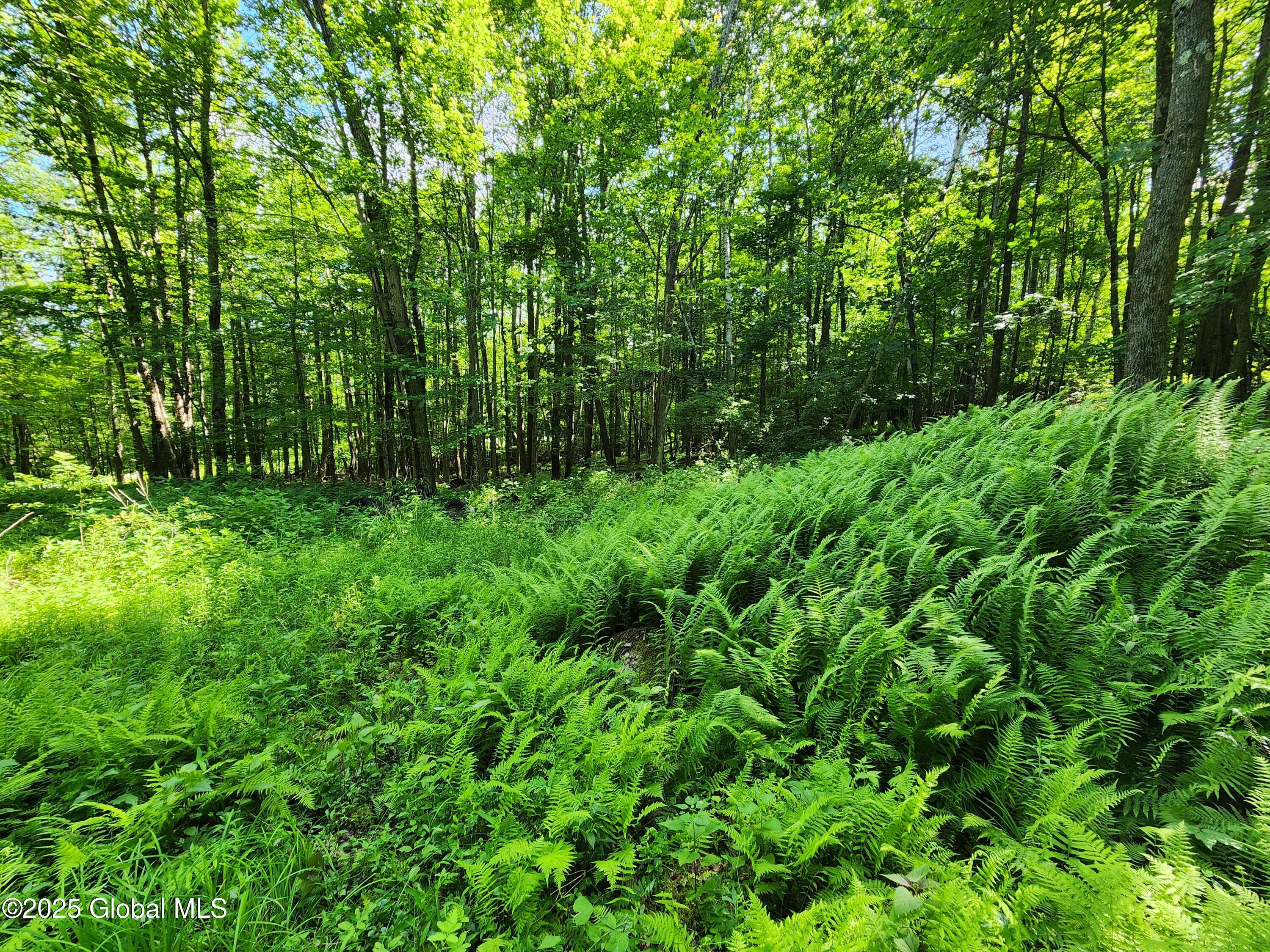 140 Roaser Road Sand Lake NY 12153
