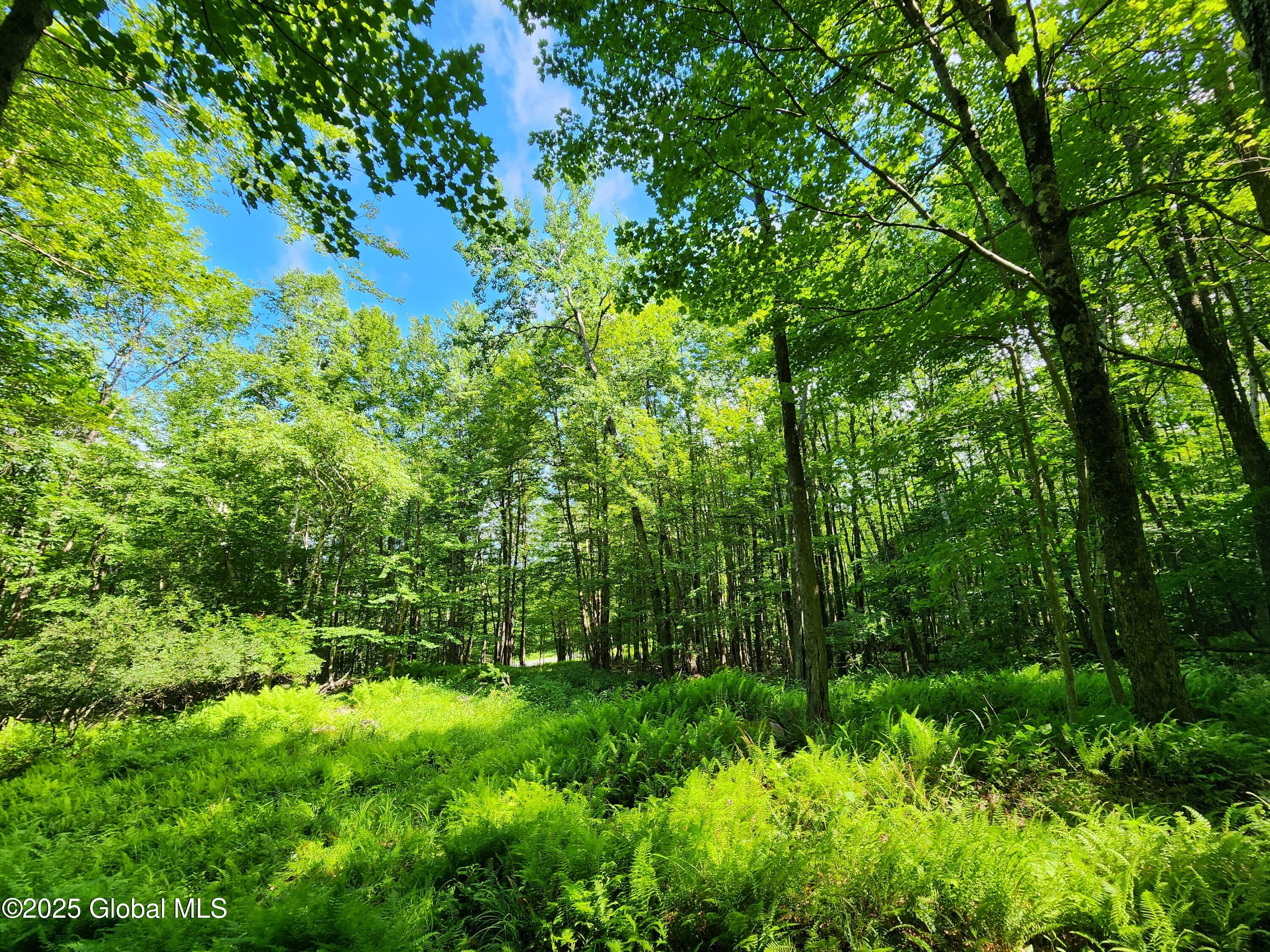 140 Roaser Road Sand Lake NY 12153