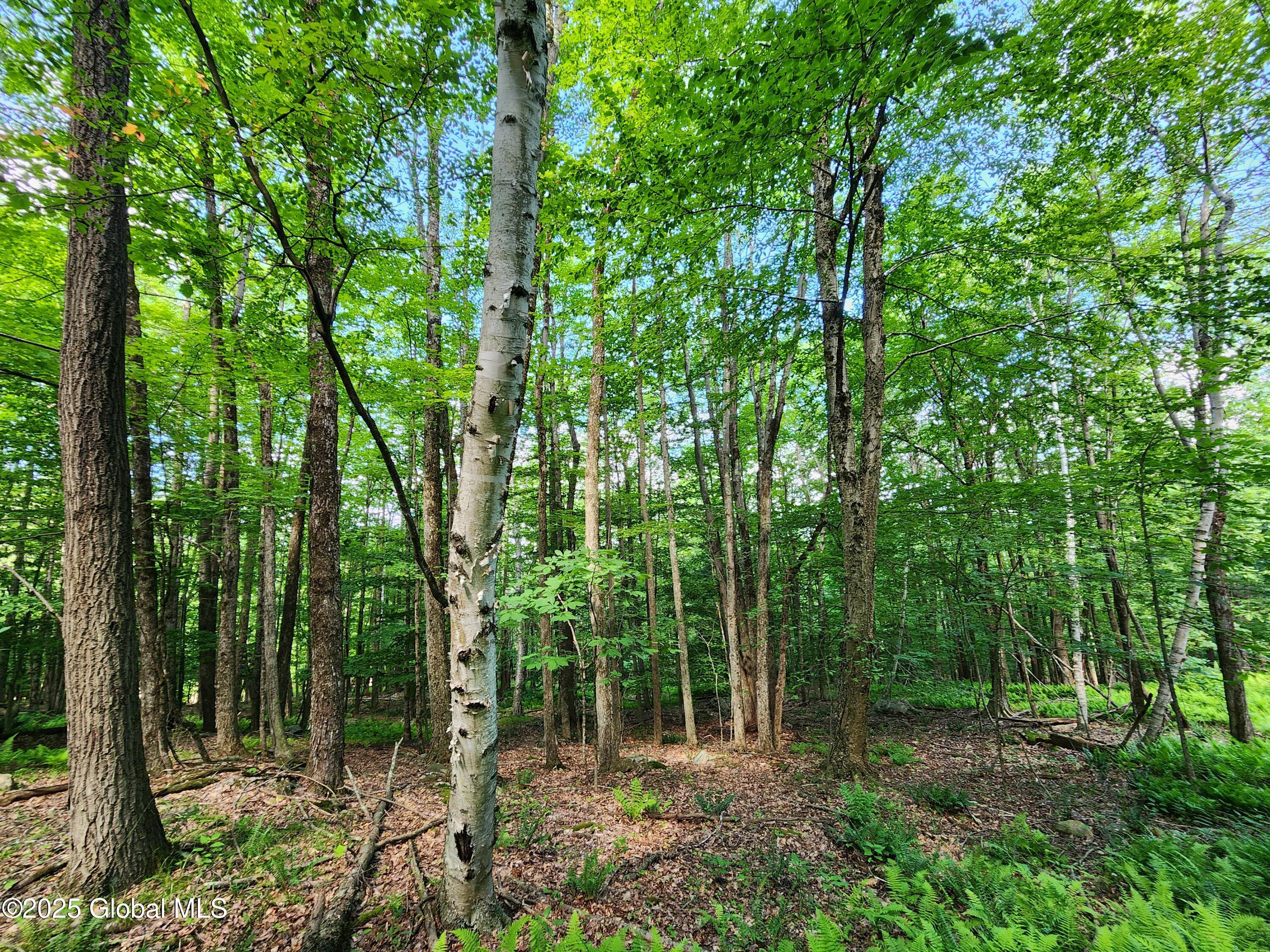 140 Roaser Road Sand Lake NY 12153