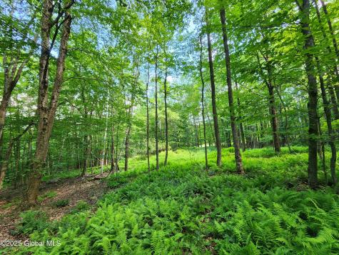 140 Roaser Road Sand Lake NY 12153