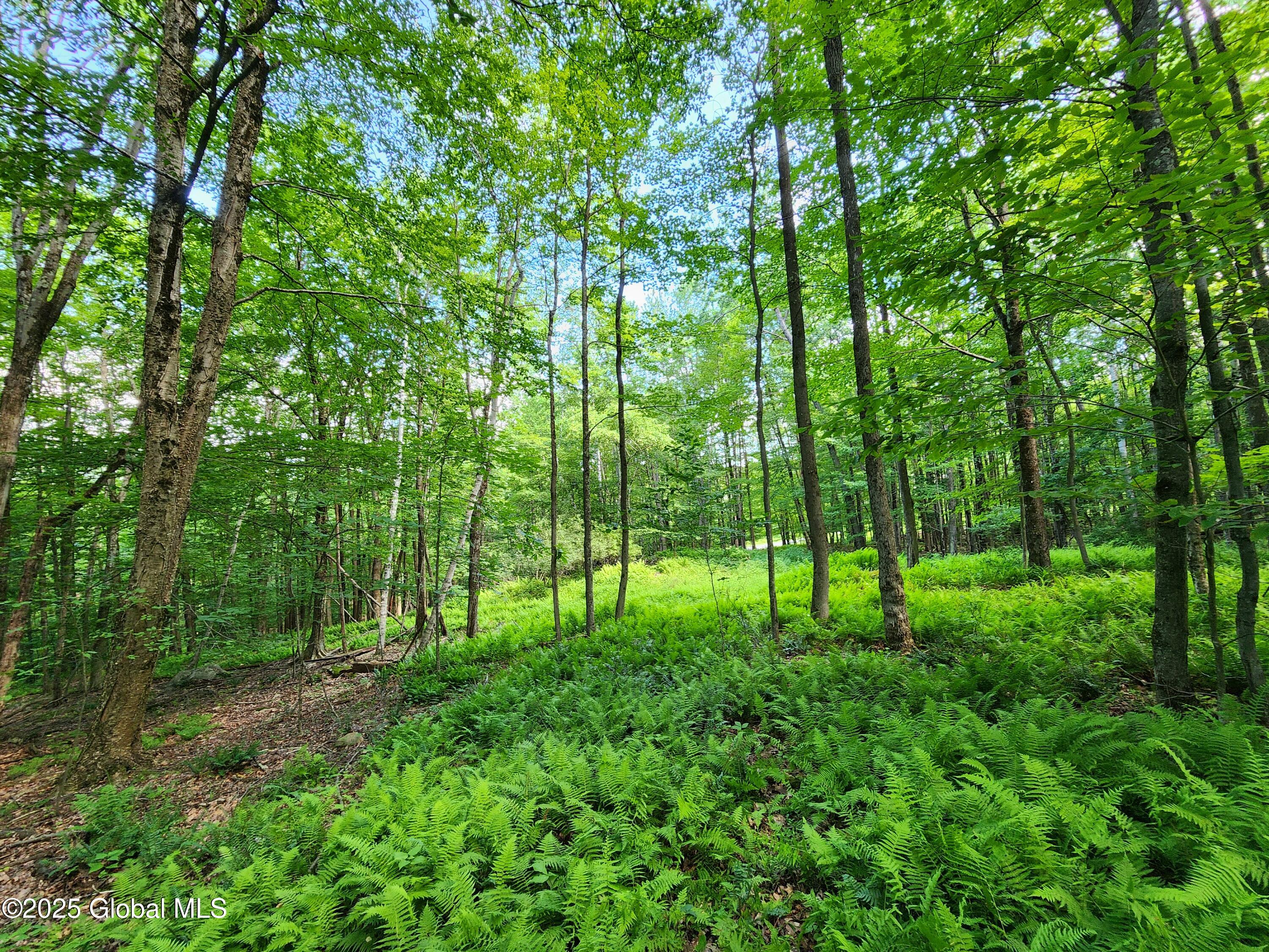 140 Roaser Road Sand Lake NY 12153