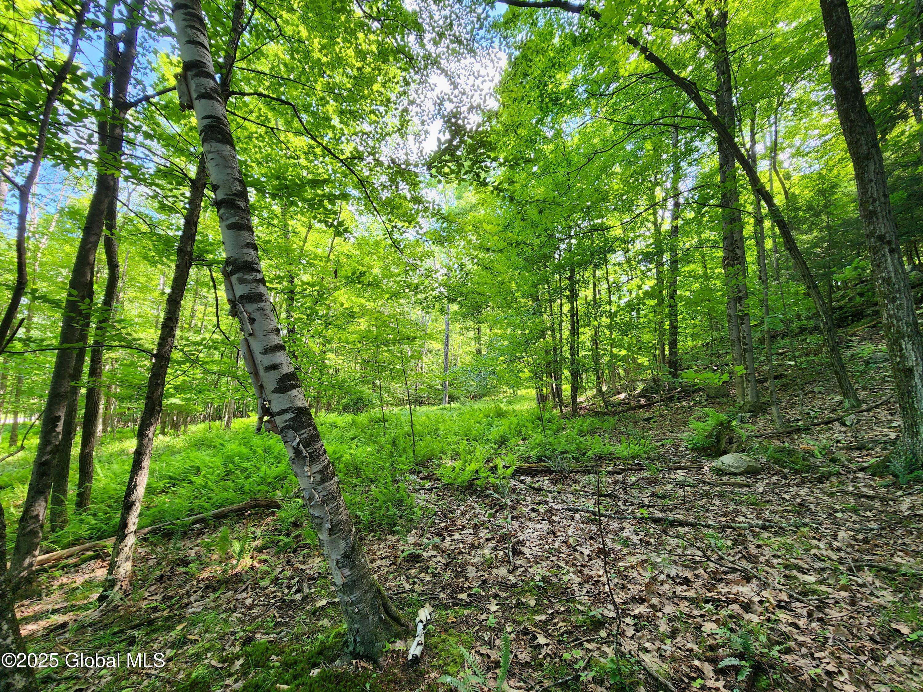 140 Roaser Road Sand Lake NY 12153