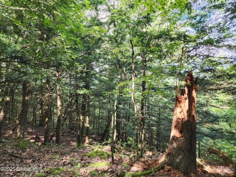 140 Roaser Road Sand Lake NY 12153