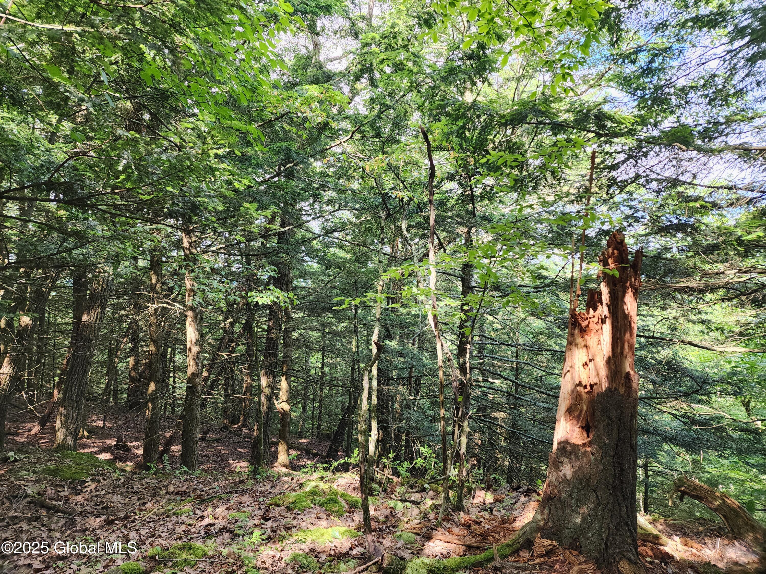 140 Roaser Road Sand Lake NY 12153