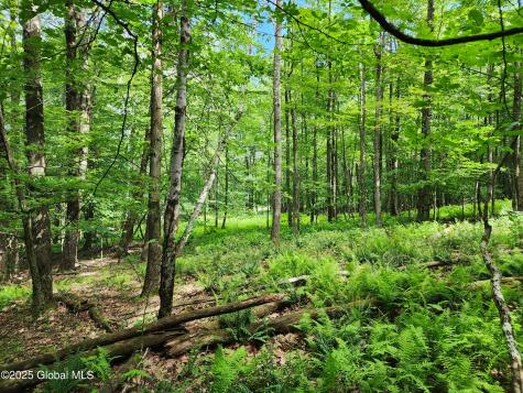 140 Roaser Road Sand Lake NY 12153