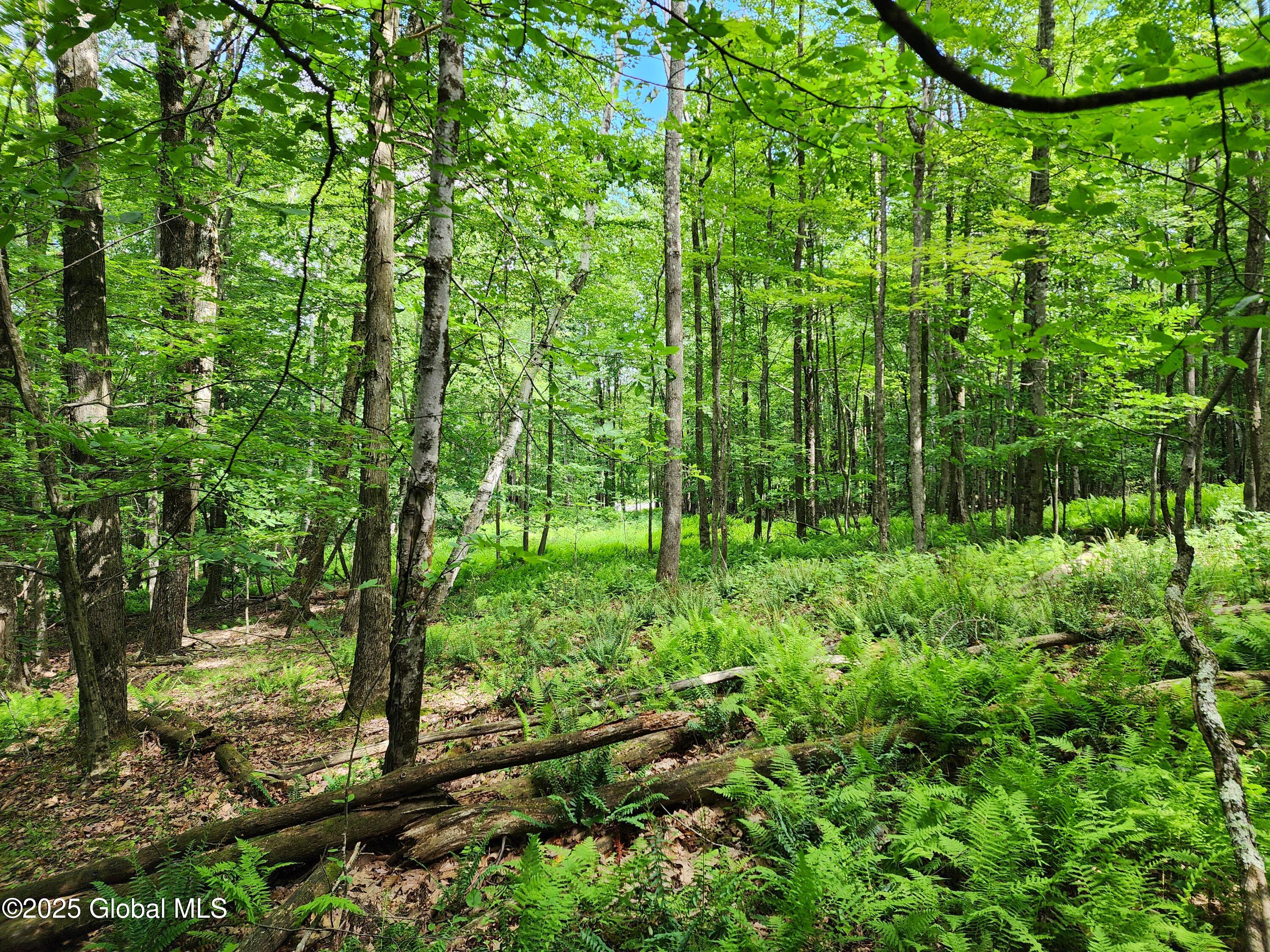 140 Roaser Road Sand Lake NY 12153