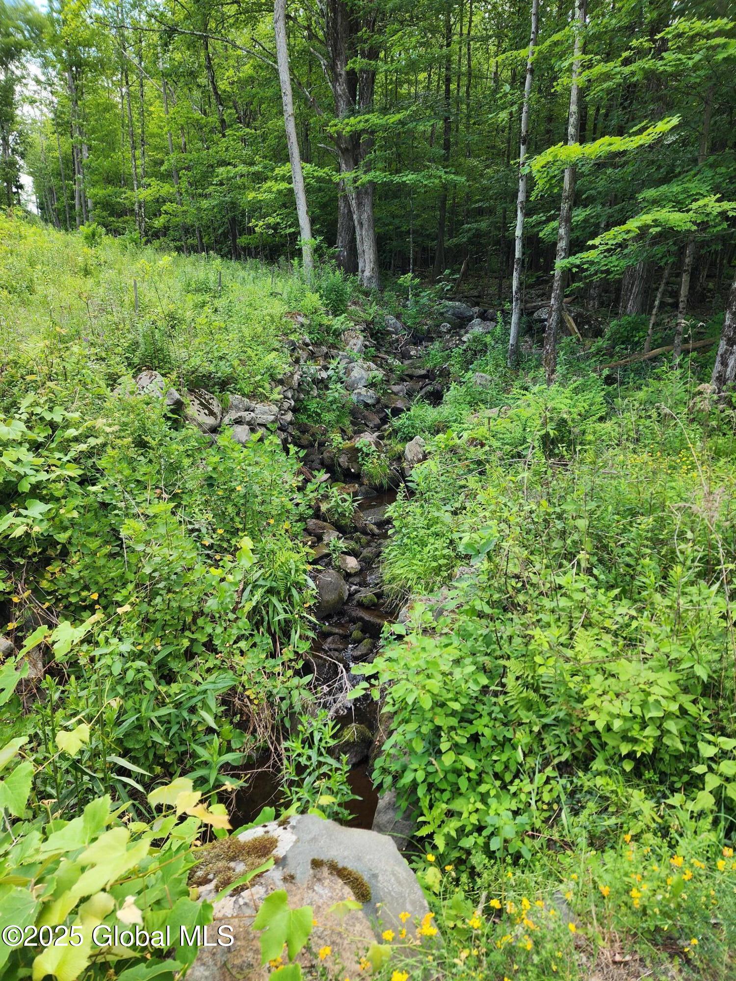 140 Roaser Road Sand Lake NY 12153